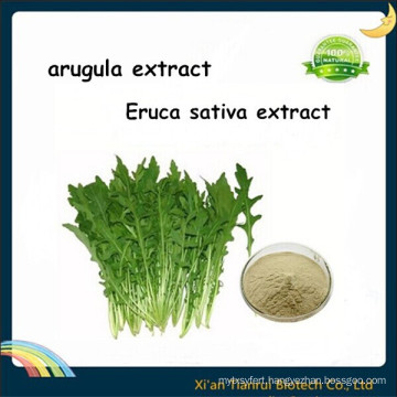 Arugula Extract, Eruca Sativa Extract
